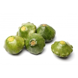 Green pattypan squash "Gagat" - 30 seeds