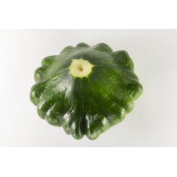 Groene pattypanpompoen "Gagat" - 30 zaden - Cucurbita pepo