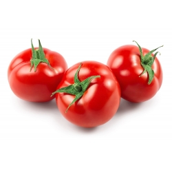Tomato "Beta" - ideal for hobby gardeners