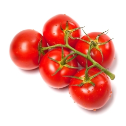 Tomate - Beta - Lycopersicon esculentum Mill  - graines