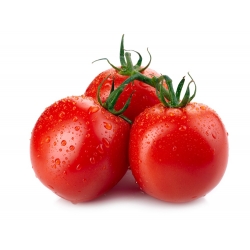 עגבניות "ביתא" - אידיאלי עבור גננים תחביב - Lycopersicon esculentum Mill  - זרעים