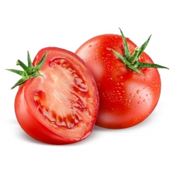 Pomidoras - Saint Pierre - 200 sėklos - Lycopersicon esculentum Mill