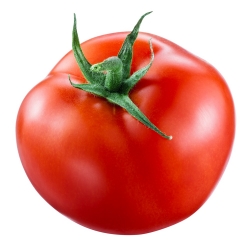 طماطم "سان بيير" - مجموعة متنوعة من التوت - 200 حبة - Lycopersicon esculentum Mill  - ابذرة