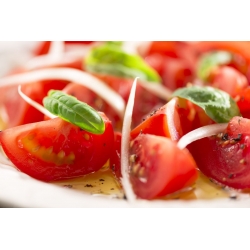 Tomato "Betalux" - pelbagai kecil - 220 biji - Lycopersicon esculentum Mill  - benih