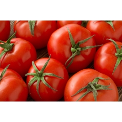Pomidoras - Betalux - Determinantiniai (žemaūgiai) pomidorai - 220 sėklos - Lycopersicon esculentum Mill