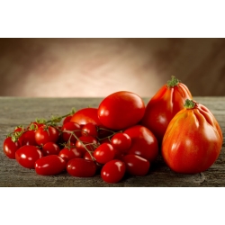 Vysoká paradajka "Red Pear" - 120 semien - Lycopersicon esculentum Mill  - semená