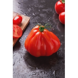 Vysoká paradajka "Red Pear" - 120 semien - Lycopersicon esculentum Mill  - semená
