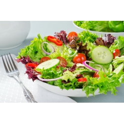 Lettuce - a selection of varieties - 900 seeds