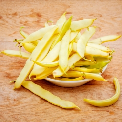 난쟁이, 노란색 프랑스 콩 "Galopka"- 100 종자 - Phaseolus vulgaris L. - 씨앗