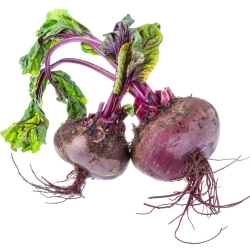 Beetroot "Egyptian" - 500 seeds