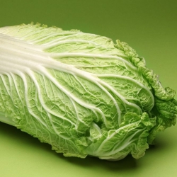 Napa cabbage "Capitol" - large heads - 86 seeds