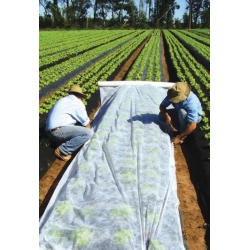 Пролетен агротекстил / градинско руно - растителна защита за здрави култури - 1,60 mx 50,00 m - 