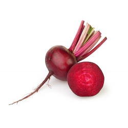 Beetroot "Astar" - ideal for juices and concentrates - 500 seeds