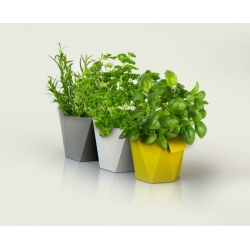 Modular herbal pot - Heca - 12,5 cm - Cream