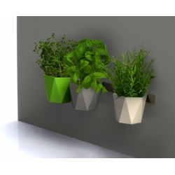 Pot herba modular - Heca - 12,5 cm - Anthracite - 