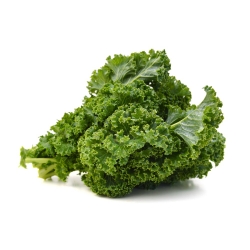 Kale "Kadet" - tinggi dengan daun yang sangat keriting - 600 biji - Brassica oleracea L. var. sabellica L. - benih