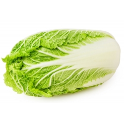 Napa cabbage "Capitol" - large heads - 86 seeds