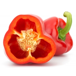 Pepper "Každý" - 60 semien - Capsicum L. - semená