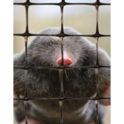 Mole netting - for a mole free lawn - 1.00 x 10.00 m