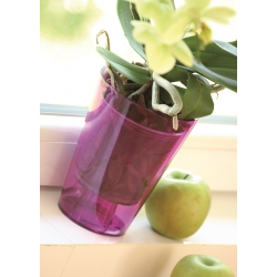 Саксија за цветове орхидеја - Куби - 13 цм - Љубичаста - 