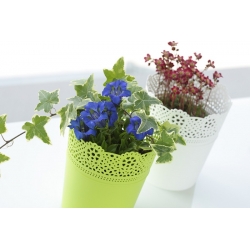 Pot de fleurs rond avec dentelle - 13,5 cm - Dentelle - Blanc - 
