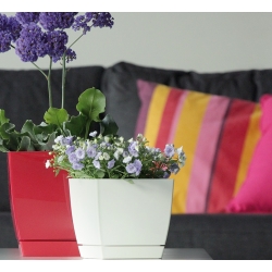 Pot bunga persegi dengan piring - Coubi - 18 cm - Grafit - 