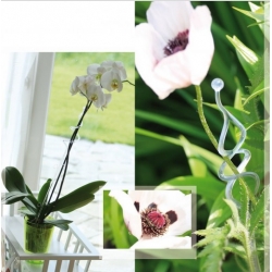 Orhideju puķu pods - Coubi DSTO - 12,5 cm - rozā - 