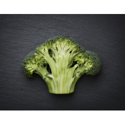 Brokolica "Limba" - 300 semien - Brassica oleracea L. var. italica Plenck - semená
