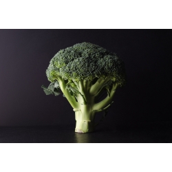 Broccoli "Limba" - 300 seeds - Brassica oleracea L. var. italica Plenck - semințe