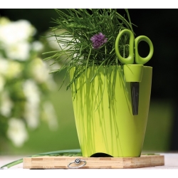 Rund herbs potte - Limes Uno - 13 cm - Oliven - 