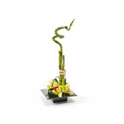 Square flower pot - composition basis - Ikebana - 19 cm - Black