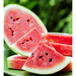 Watermelon "Mini Love" - 5 seeds