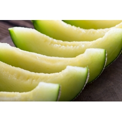 Melon - Seledyn F1 - 30 seemned - Cucumis melo L.