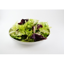 Baby Leaf - Mørk salatblanding -  - frø
