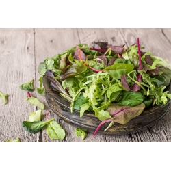 Babyblad - salatslösblandning -  - frön
