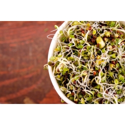 Sprouting seeds - rejuvenating mix