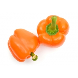 Pepper "Rewia" - sladký - 100 semien - Capsicum L. - semená
