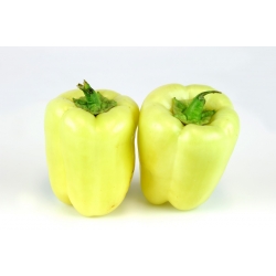 Pepper "Zorza" - dulce - 65 de semințe - Capsicum L.
