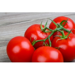 Tomato "Ray" - field variety - 225 seeds