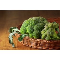 Broccoli "Calabrese  Natalino" - 300 seeds