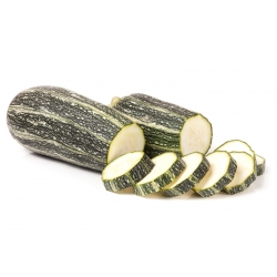 Zucchino - Tapir  - Cucurbita pepo  - semi