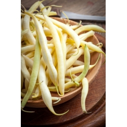 Škrlatni francoski rumeni fižol "Gold Pantera" - Phaseolus vulgaris L. - semena