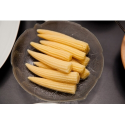 Sweet corn "Minigold"; Sugar corn, Pole corn
