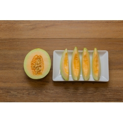 Zuckermelone 'Charentaise', Melone