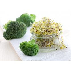 Semințe de germinare - broccoli - 100 g - 30000 de semințe - 