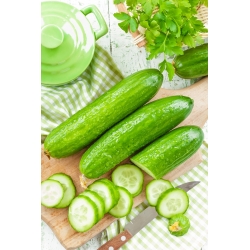 Cucumber "Temptation F1" - for kultivation under covers - 35 seeds