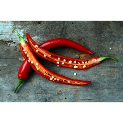 Pepper "Poseidon" - fierbinte - 70 de semințe - Capsicum L.