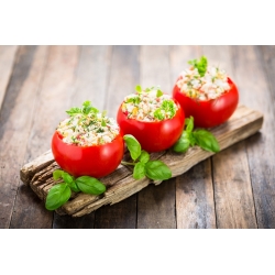 Tomato "Slonka F1" - greenhouse variety