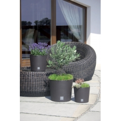 Round flower pot with an insert - Rato - 25 cm - White