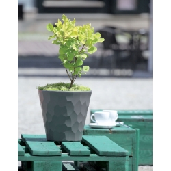 Pot bunga bulat - Rocka - 35 cm - Mocca - 